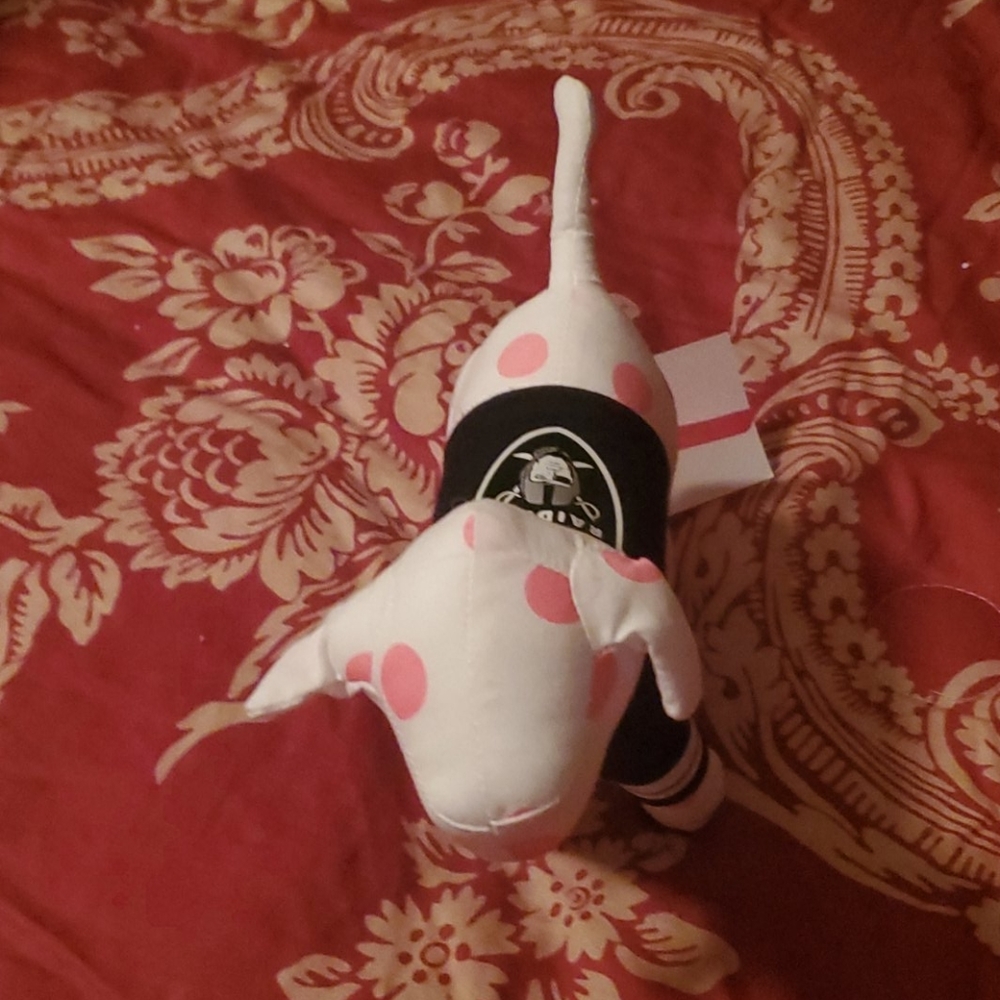 Raiders NFL dog